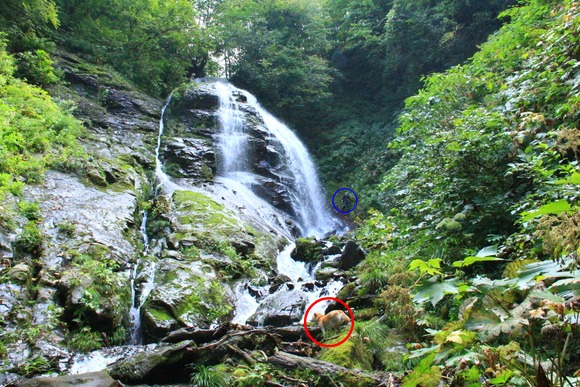 e0227023_0502190.jpg