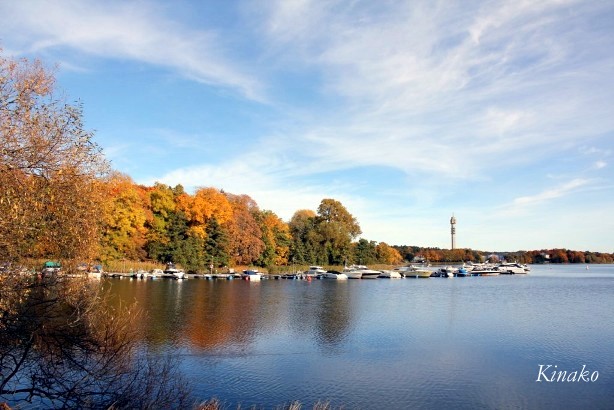 e0250023_73774.jpg