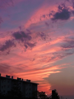 c0204725_9422320.jpg