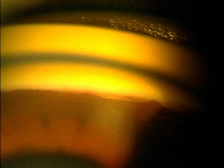 f0088231_1661982.jpg