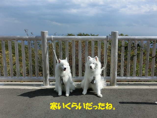 e0196135_21135793.jpg
