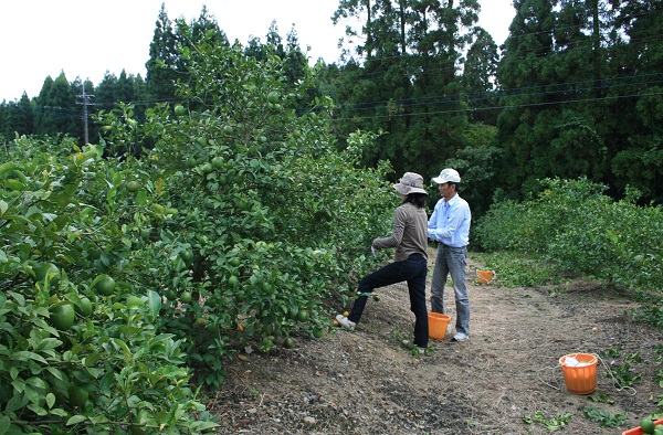 f0042737_16123025.jpg