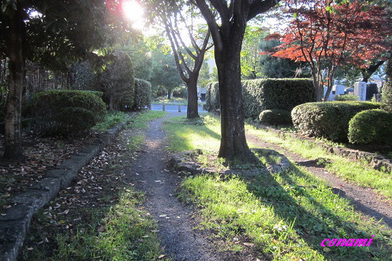 e0291638_16364851.jpg