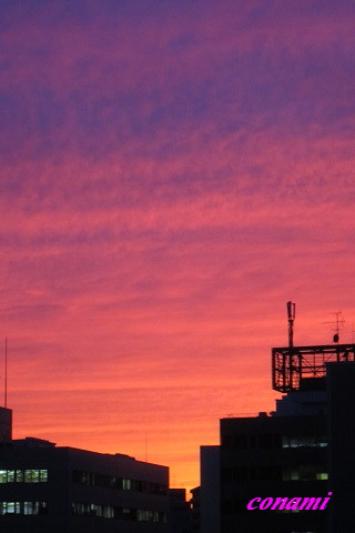 e0291638_16483234.jpg