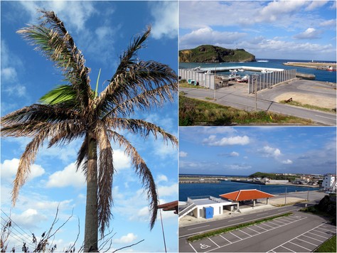 10月17日 台風27号発生_b0158746_2201050.jpg