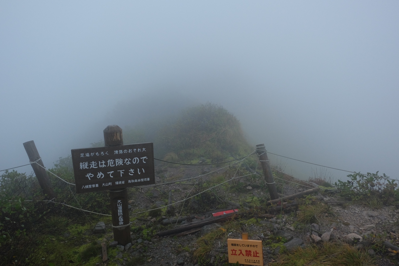 a0317247_734448.jpg