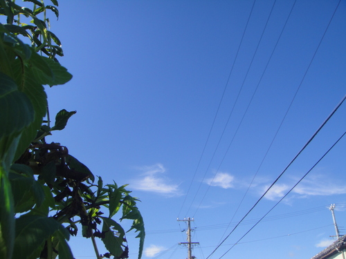 c0108460_22113326.jpg