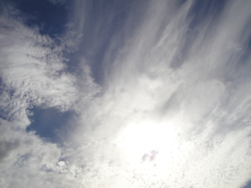 c0108460_2212597.jpg