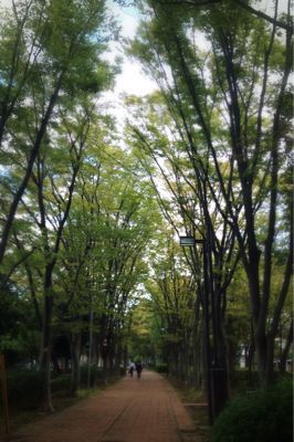 f0287867_9312373.jpg