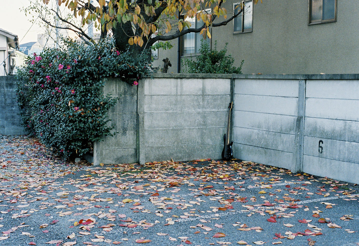 d0286980_2495229.jpg
