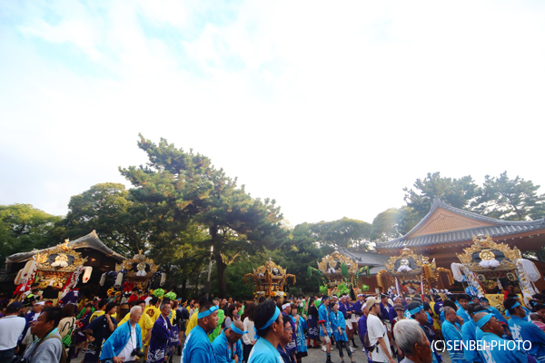 e0271181_892464.jpg