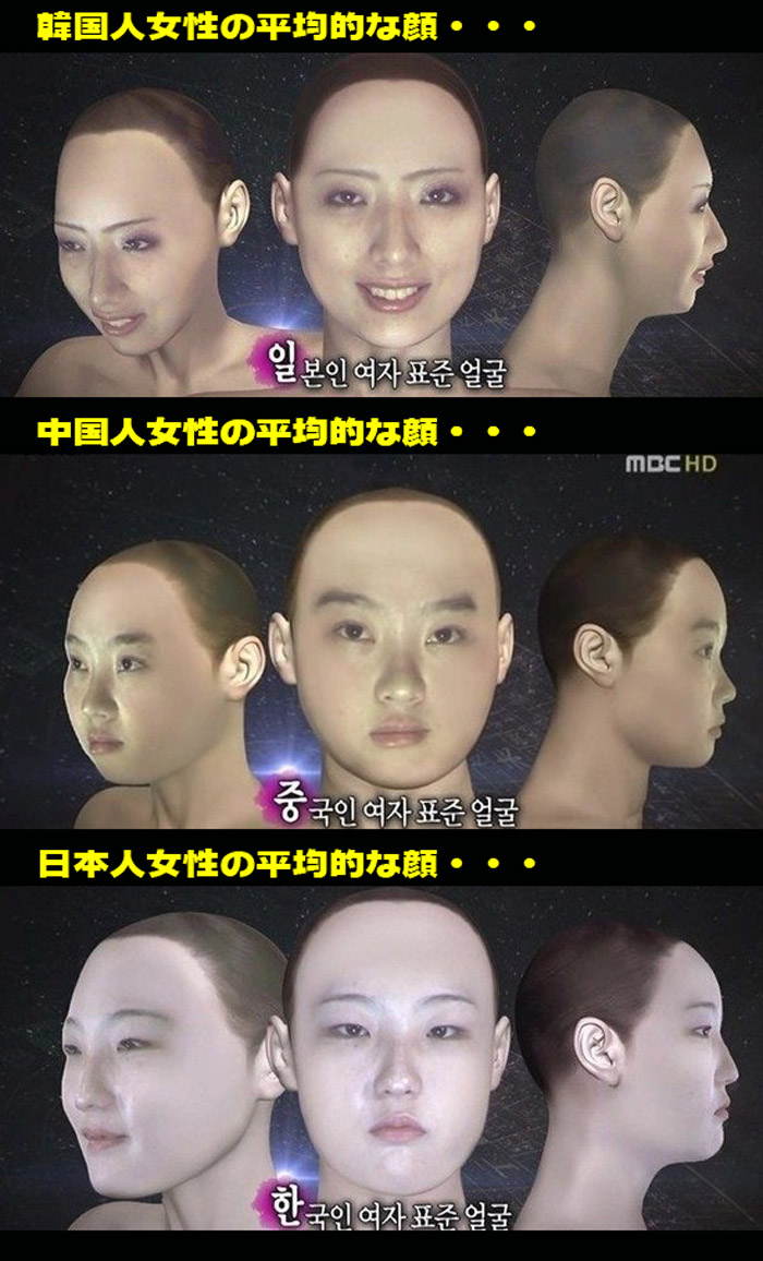 韓国のテレビで放映された平均的な顔だそうです K 1 がふたつめになりました 韓国のテレビで放映された平均的な顔だそうです K 1 がふたつめになりました