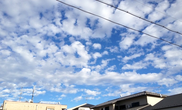 b0191189_182057.jpg