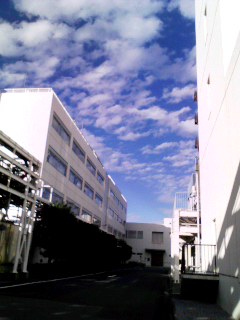 c0201895_11532795.jpg