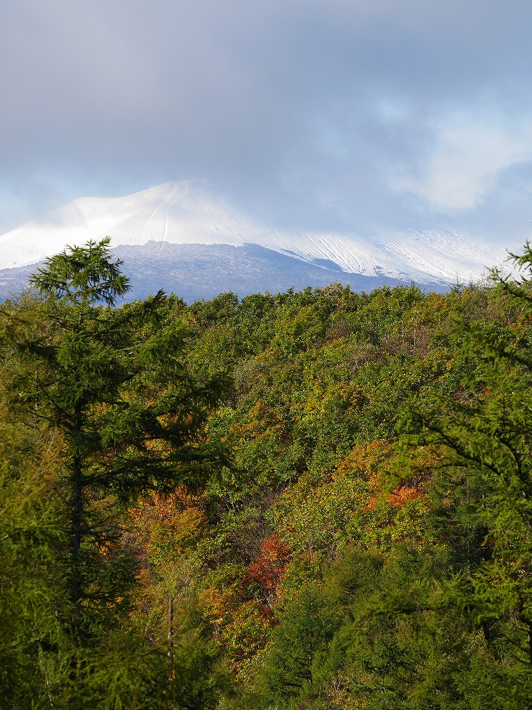 10月17日、支笏湖周辺の山、初冠雪_f0138096_9255950.jpg