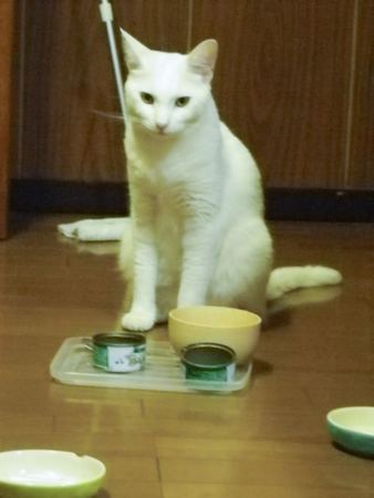 f0239100_23341761.jpg