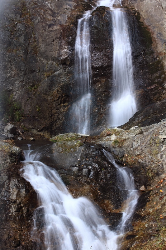 e0257101_2020104.jpg