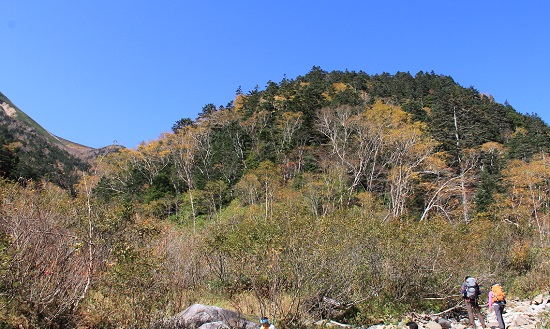 a0158702_1815098.jpg