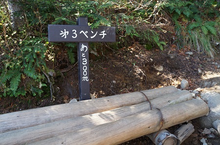 a0158702_18181519.jpg