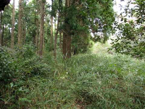 e0293913_18572034.jpg