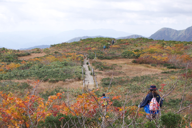 名前に騙されたと怒る＠赤兎山_b0290417_833142.jpg