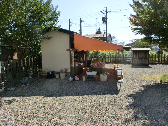 第40回 ヱヴァンゲリヲンと日本刀展in関_d0237121_1759099.jpg