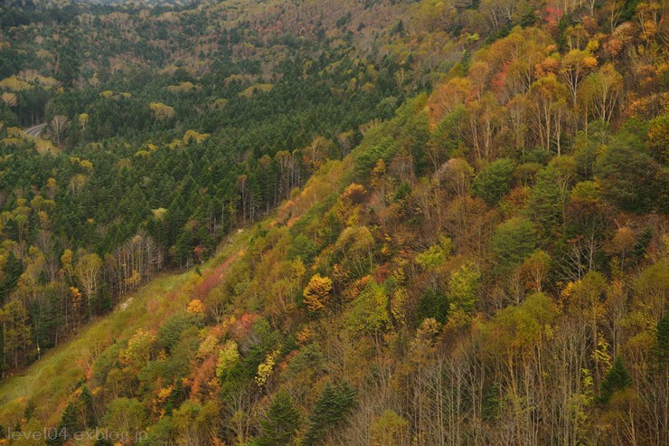 丸沼高原 日光白根山ロープウェイ ～紅葉～_d0319222_1047281.jpg