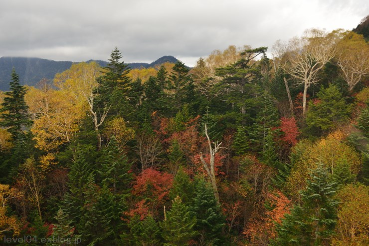 丸沼高原 日光白根山ロープウェイ ～紅葉～_d0319222_10482527.jpg