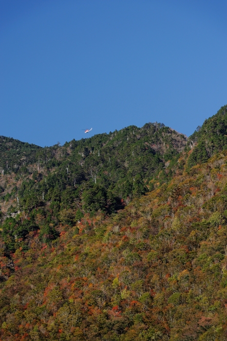 天空のアピタ_f0274536_232476.jpg