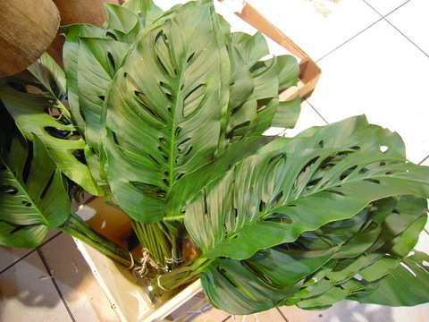 c0232541_69173.jpg