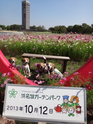 c0119142_03742.jpg