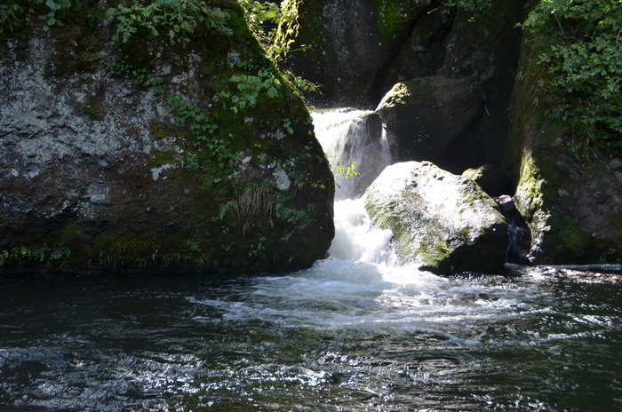 c0202242_16491448.jpg