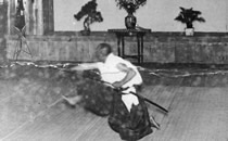 現存する居合流派_b0287744_211144.jpg