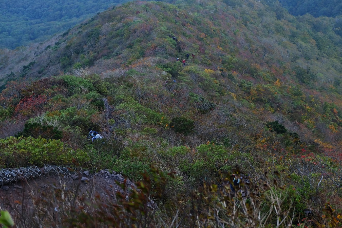 a0317247_13183419.jpg