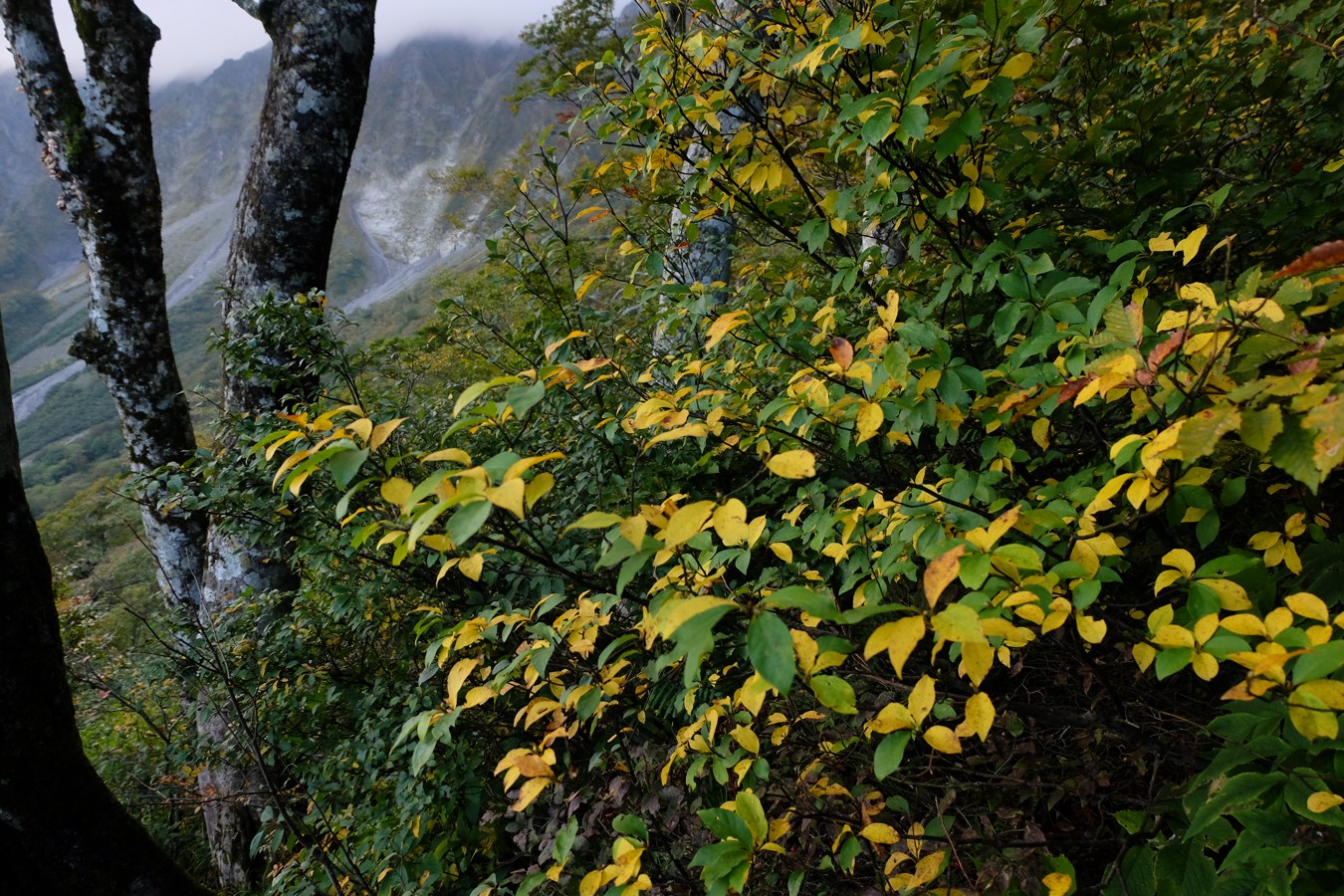 a0317247_1320541.jpg