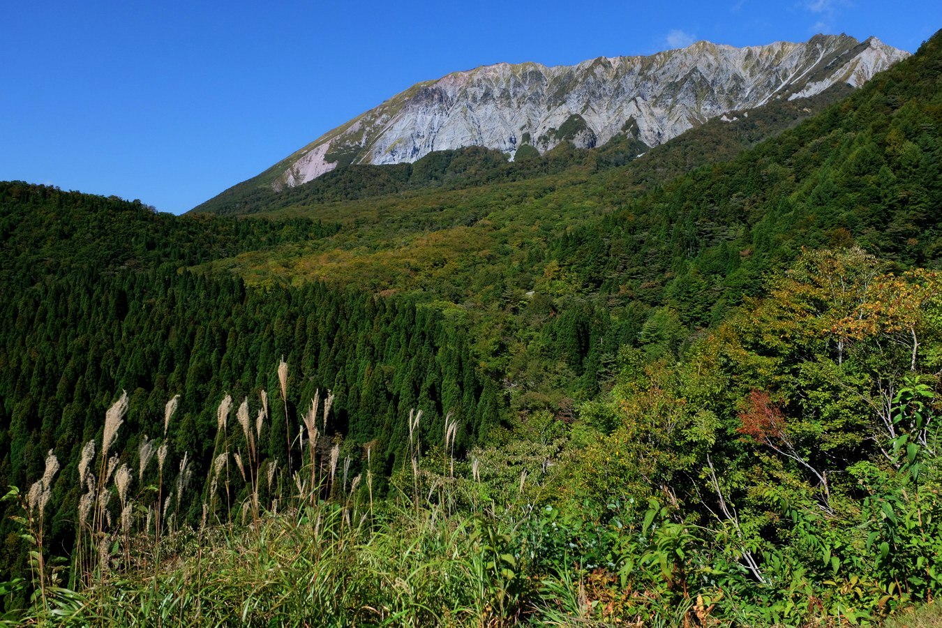 a0317247_13455785.jpg