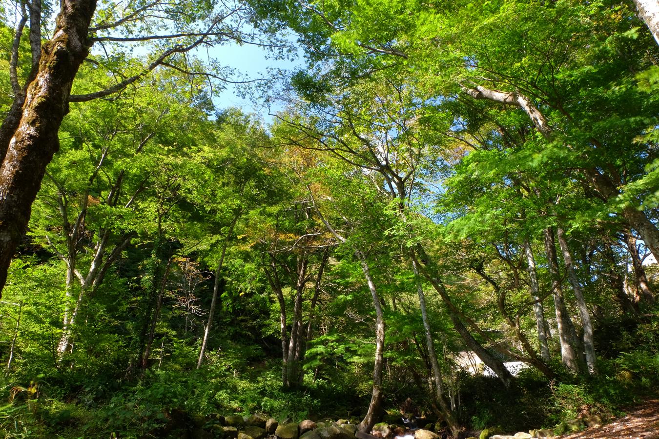 a0317247_13594140.jpg