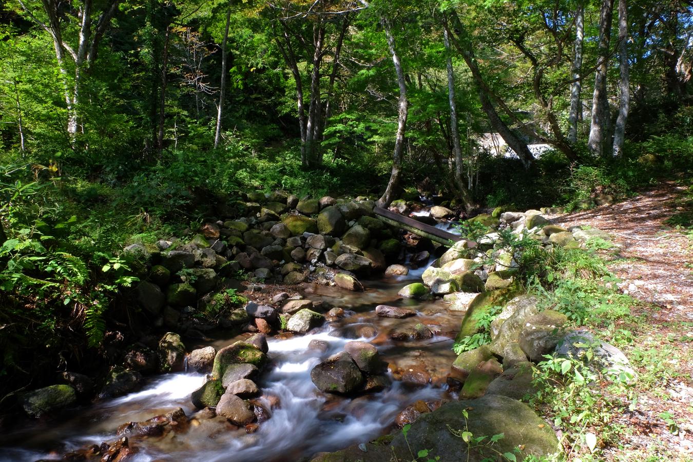 a0317247_1402934.jpg