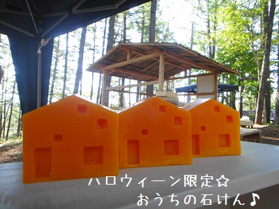 明日はBioマルシェ!!_e0254750_21365479.jpg