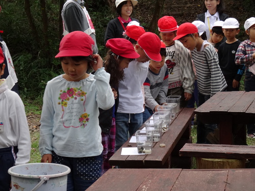 深日小学校１年・２年遠足サポート　　in　　うみべの森_c0108460_21213830.jpg