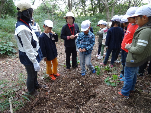 深日小学校１年・２年遠足サポート　　in　　うみべの森_c0108460_21272810.jpg