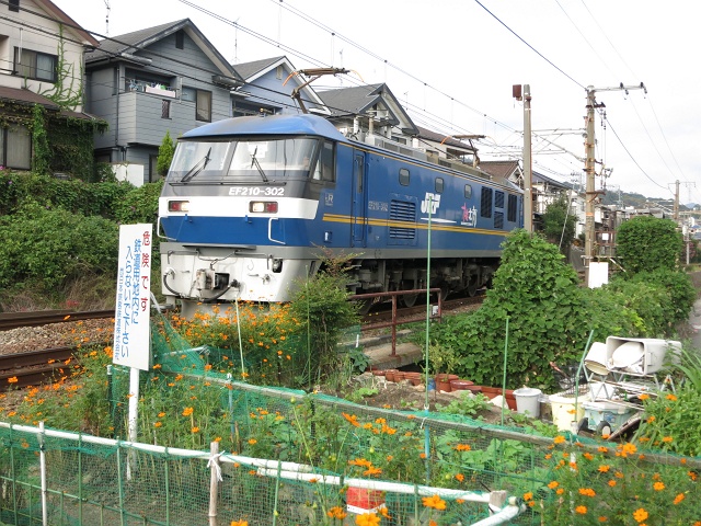 瀬野川遊歩道全面開通・最終工事区間の才の瀬橋～山王大橋を歩く　その1_b0095061_8192691.jpg