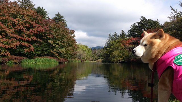 b0274270_1173778.jpg