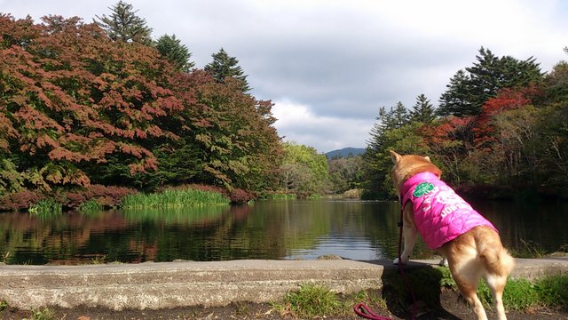 b0274270_11776.jpg