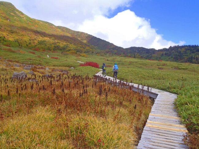 【 紅葉の白山でテント泊！ その3 ～展望コースから室堂、そして山頂へ！ 】_f0202271_1585457.jpg