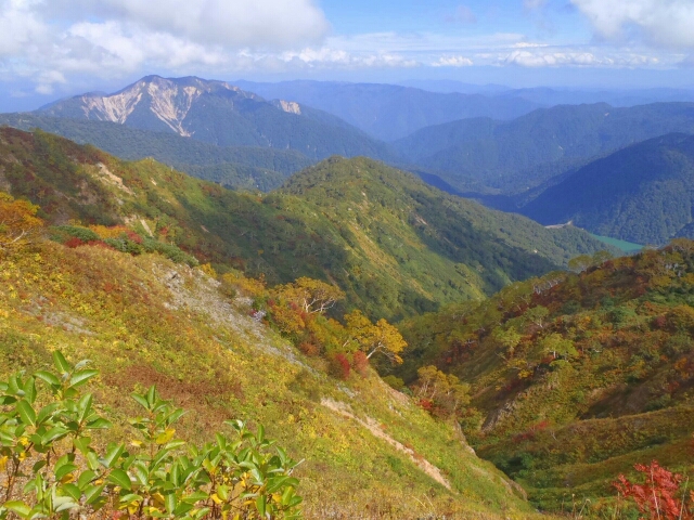 f0202271_24579.jpg