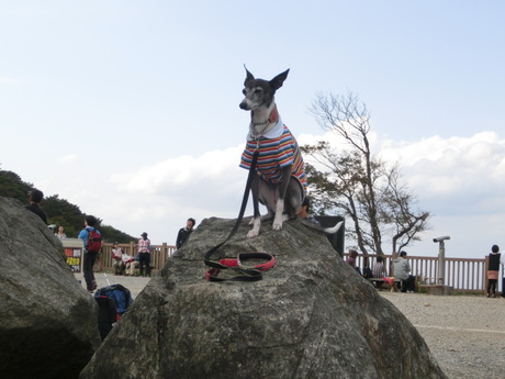f0223972_1858324.jpg