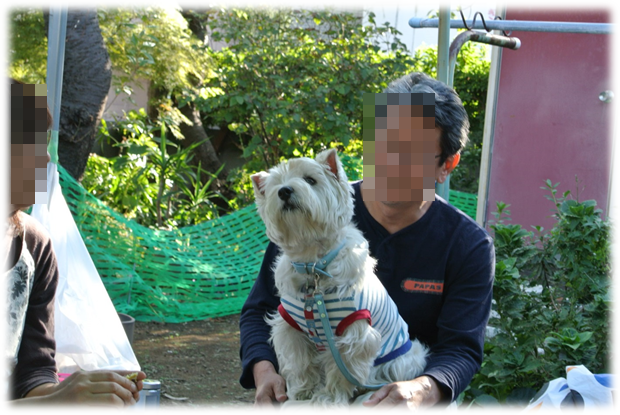 b0242873_7571133.png