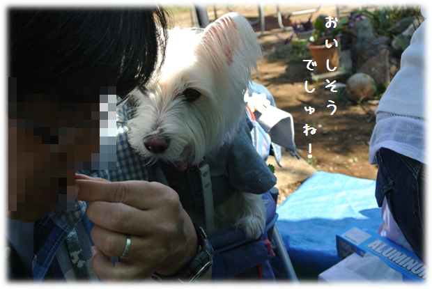 b0242873_75768.png