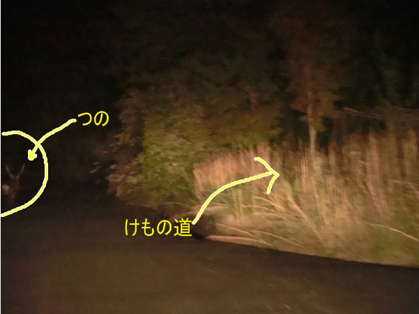a0199979_13393338.jpg